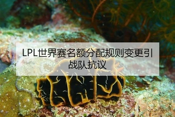 shi-jie-sai-ming-e-fen-pei-gui-ze-bian-geng-yin-zhan-dui-kang-yi-1-313.jpg