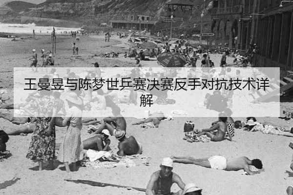 wang-man-yu-yu-chen-meng-shi-ping-sai-jue-sai-fan-shou-dui-kang-ji-shu-xiang-jie-1-909.jpg